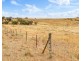 Lot 44 Sturt Highway, Dutton East SA 5356