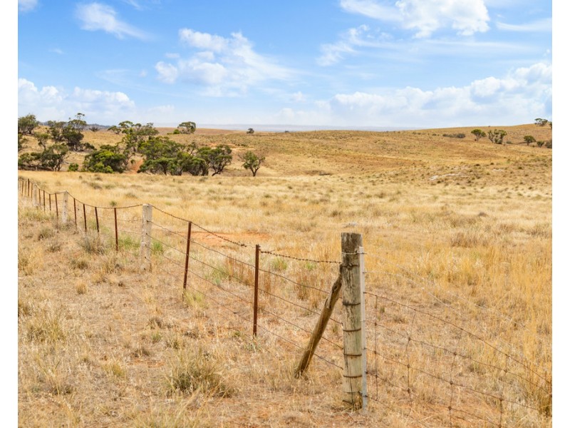 Lot 44 Sturt Highway, Dutton East SA 5356