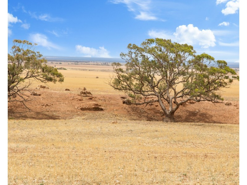 Lot 44 Sturt Highway, Dutton East SA 5356