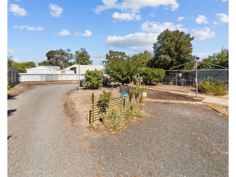 23 MACDONNELL STREET, Tanunda SA 5352