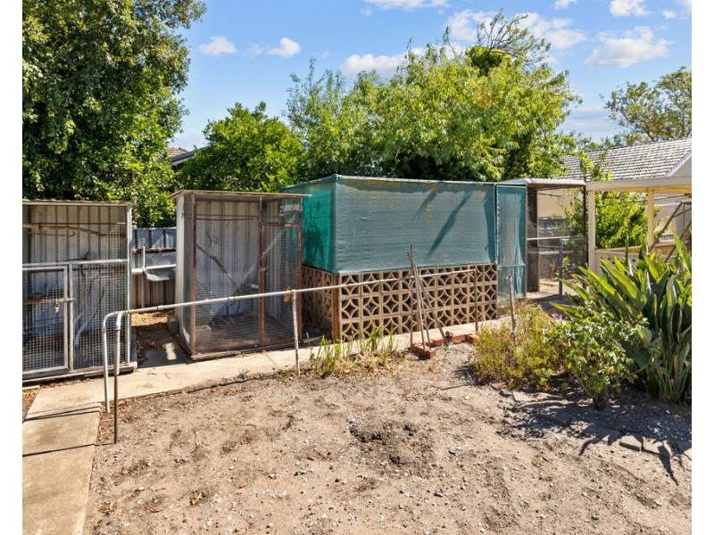 23 MACDONNELL STREET, Tanunda SA 5352