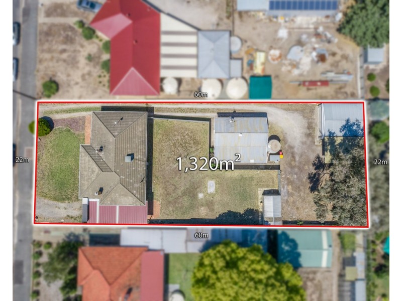 87 MURRAY STREET, Nuriootpa SA 5355