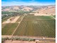Lot 175 NICOLAI ROAD, Bethany SA 5352