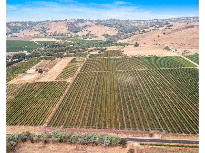 Lot 175 NICOLAI ROAD, Bethany SA 5352