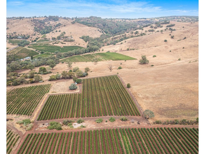 Lot 175 NICOLAI ROAD, Bethany SA 5352