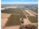 Lot 175 NICOLAI ROAD, Bethany SA 5352