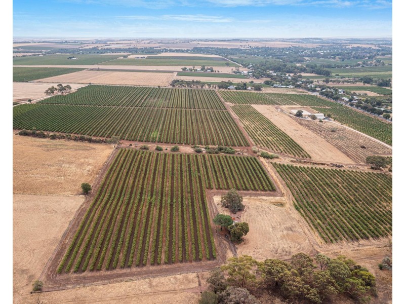 Lot 175 NICOLAI ROAD, Bethany SA 5352