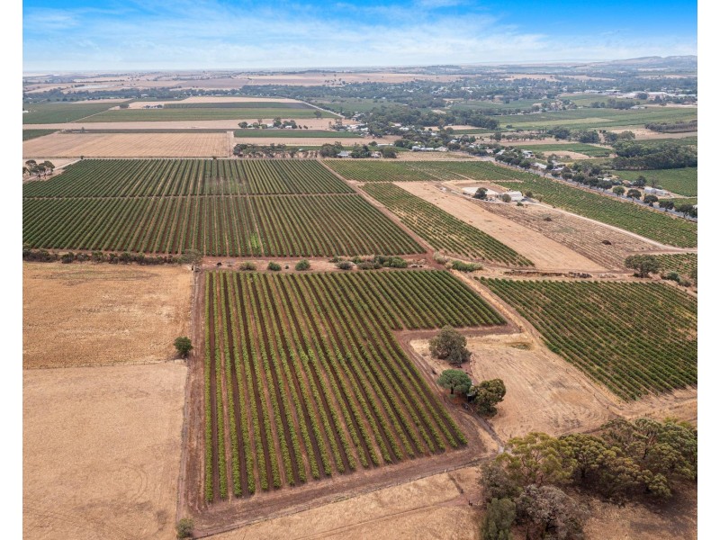 Lot 175 NICOLAI ROAD, Bethany SA 5352