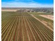 Lot 175 NICOLAI ROAD, Bethany SA 5352