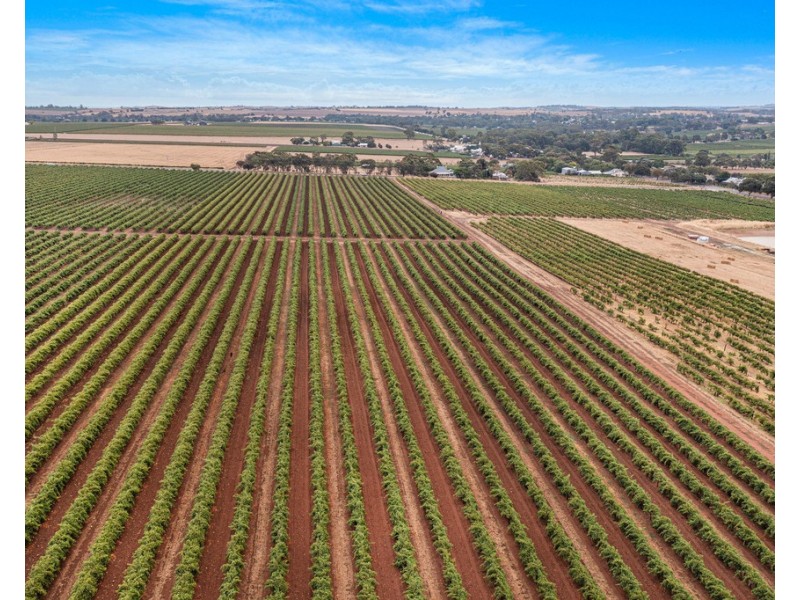 Lot 175 NICOLAI ROAD, Bethany SA 5352