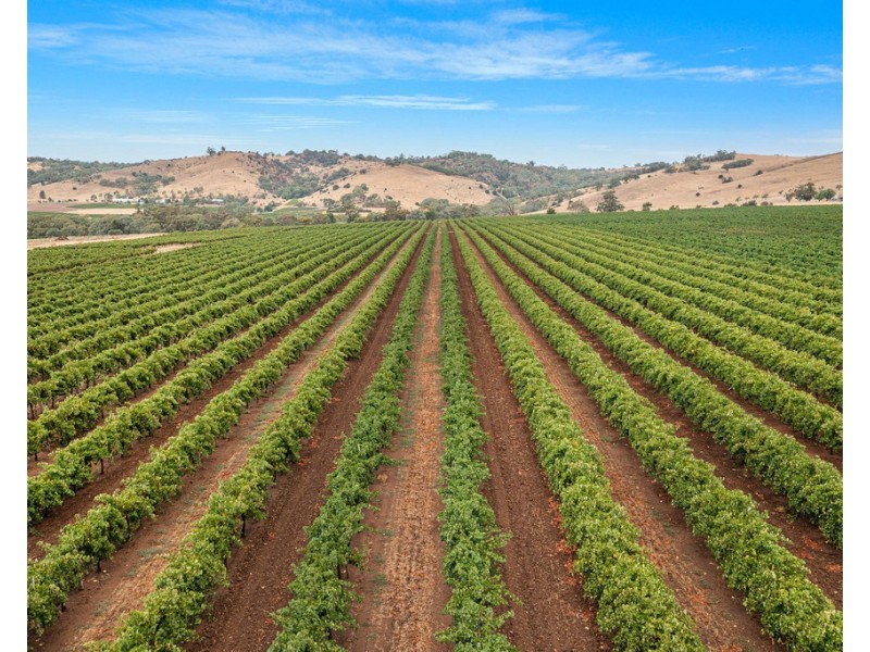 Lot 175 NICOLAI ROAD, Bethany SA 5352