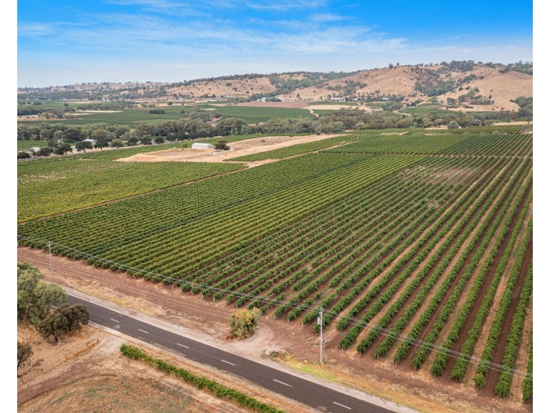 Lot 175 NICOLAI ROAD, Bethany SA 5352