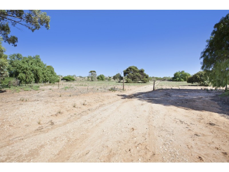 726 Sunnydale Road via Sunnydale, Swan Reach SA 5354