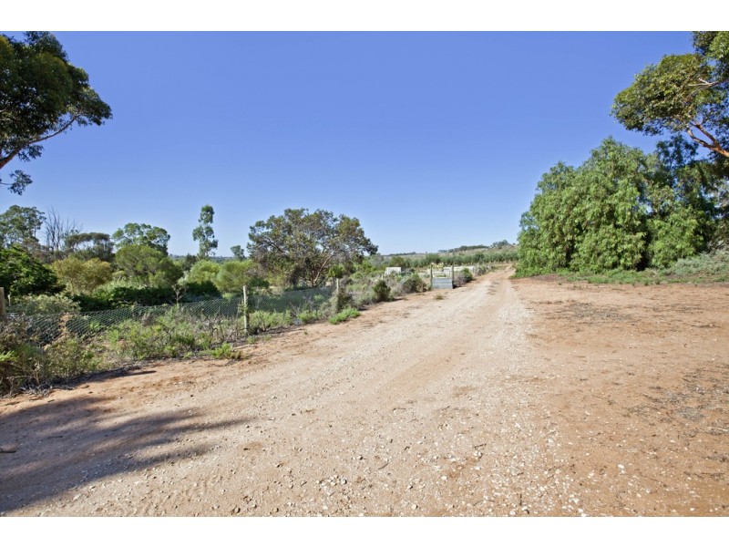 726 Sunnydale Road via Sunnydale, Swan Reach SA 5354