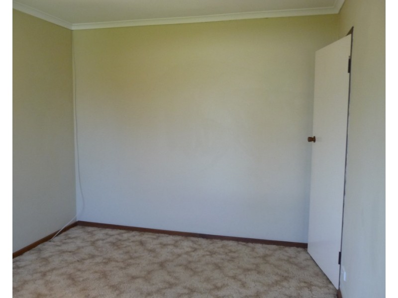 56 Angas Street, Tanunda SA 5352