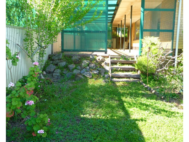 56 Angas Street, Tanunda SA 5352