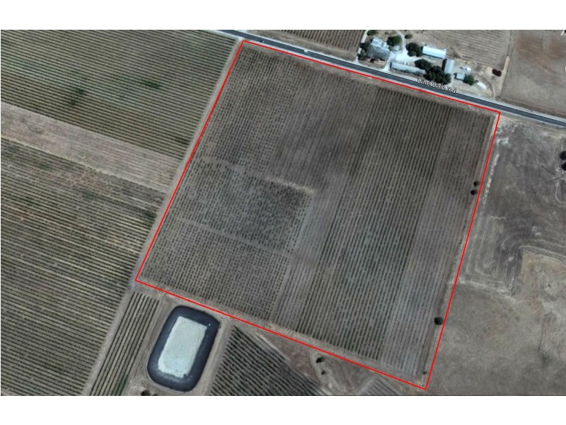 Lot 100 Vine Vale Road, Vine Vale SA 5352