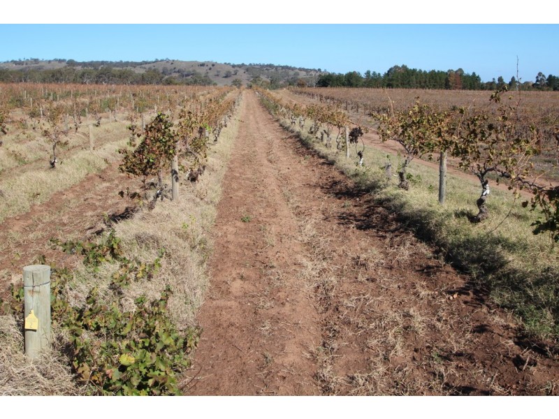 Lot 100 Vine Vale Road, Vine Vale SA 5352