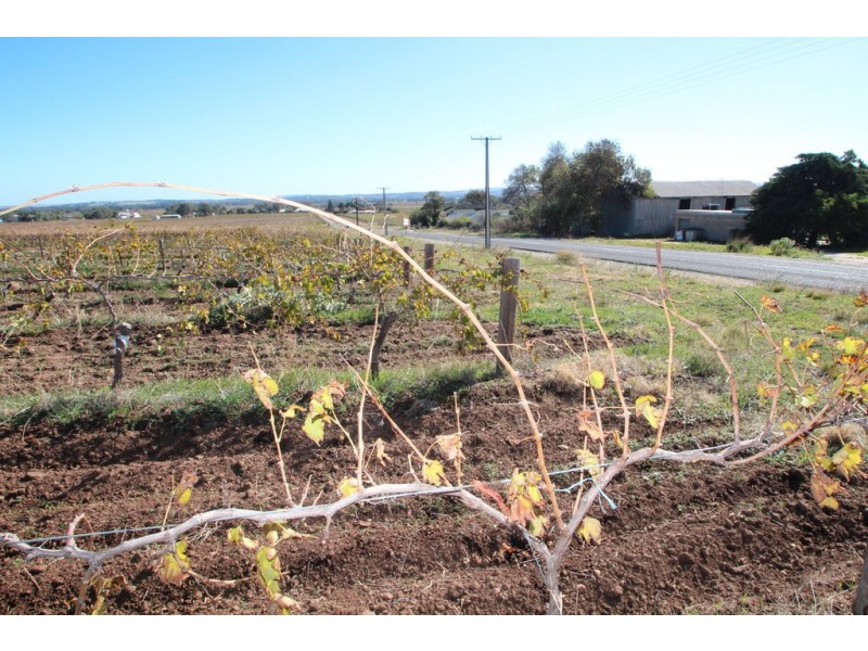 Lot 100 Vine Vale Road, Vine Vale SA 5352