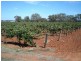 Lot 21 Stockwell Road, Stockwell SA 5355