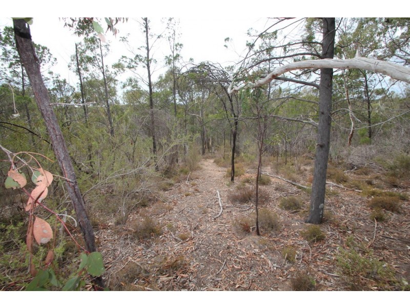 197 Goldfields Road, Cockatoo Valley SA 5351