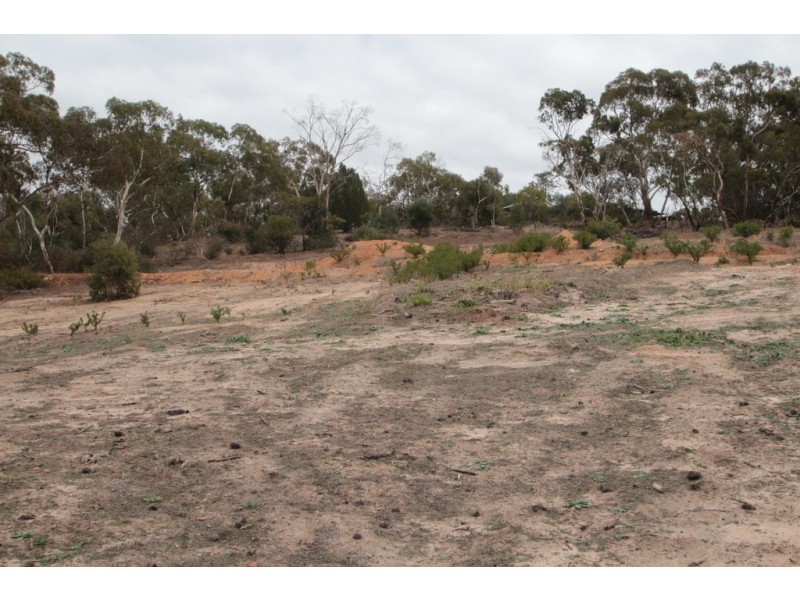 197 Goldfields Road, Cockatoo Valley SA 5351