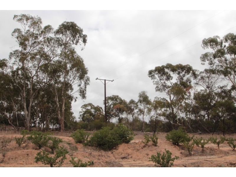 197 Goldfields Road, Cockatoo Valley SA 5351