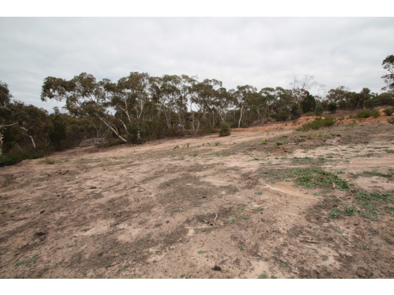 197 Goldfields Road, Cockatoo Valley SA 5351