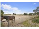Lot 222 Shellgrit Road, Two Wells SA 5501