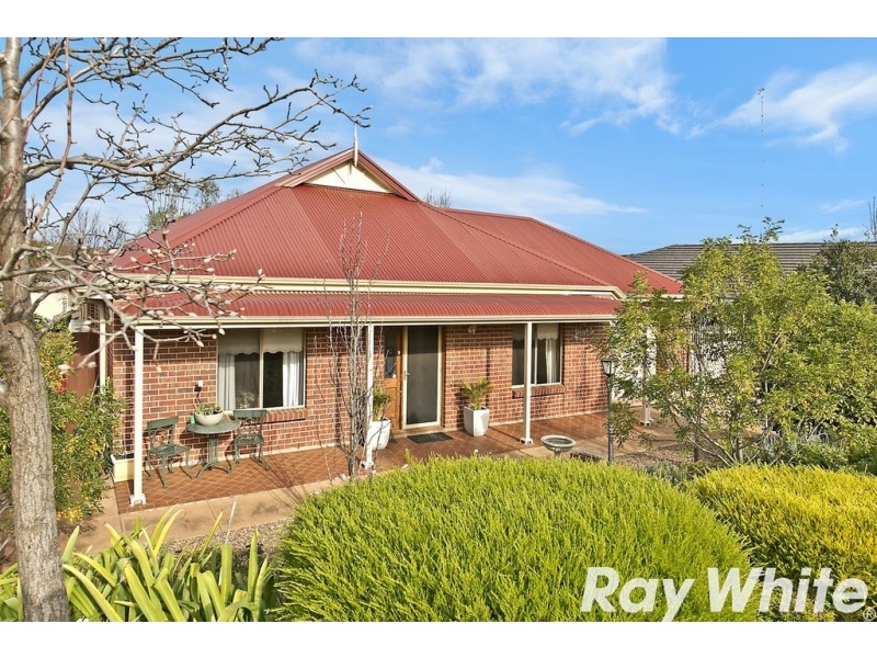 11 Shrike Place, Hewett SA 5118