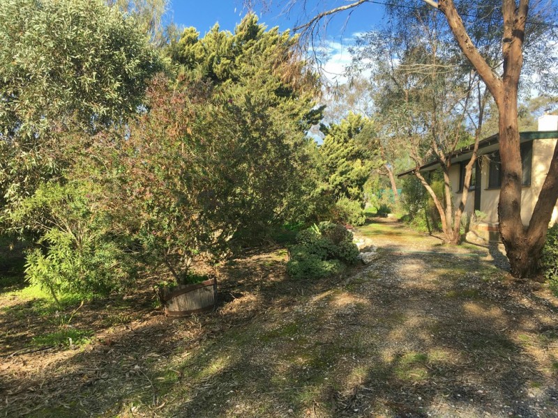 344 Sir Condor Laucke Way, Nuriootpa SA 5355