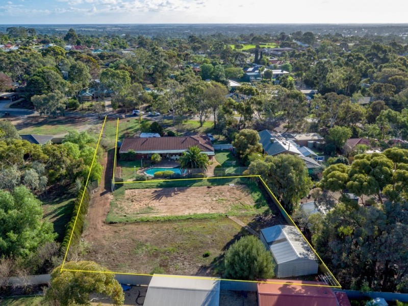 8 Cockshell Drive, Gawler East SA 5118