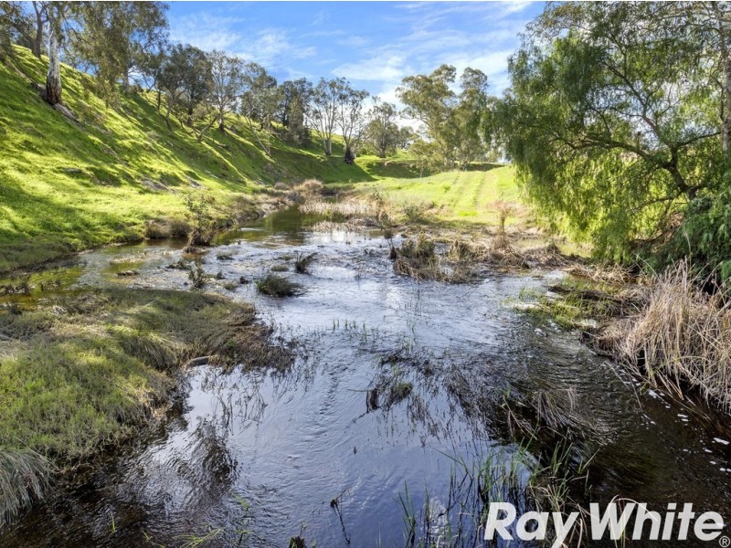 44 Dalgety Road, Rosedale SA 5350
