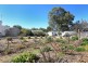 20 Bagot Street, Kapunda SA 5373