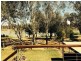 Lot 3 Echidna Avenue, Morgan SA 5320