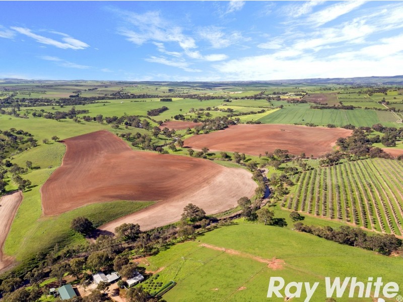 44 Dalgety Road, Rosedale SA 5350
