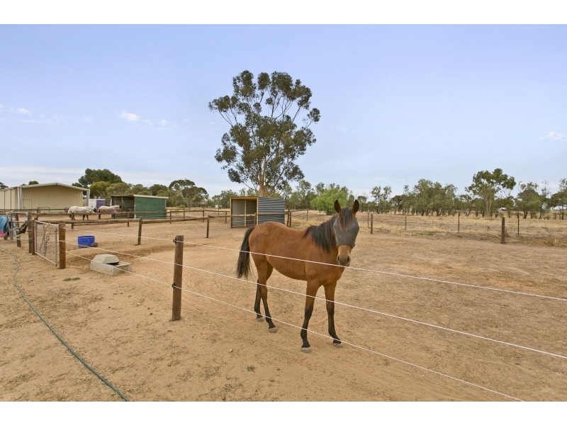 171 Hayman Road, Lewiston SA 5501