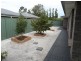 4 Furnell Street, Nuriootpa SA 5355