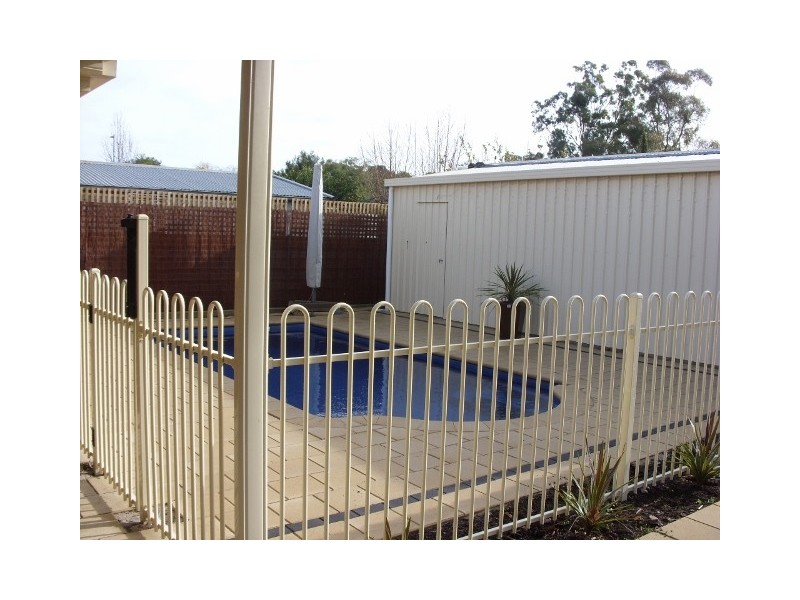 7 Armstrong Avenue, Nuriootpa SA 5355