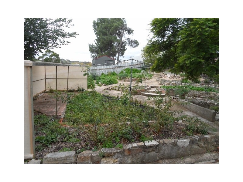 22  Evans Street, Angaston SA 5353