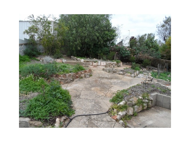 22  Evans Street, Angaston SA 5353