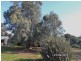 36  Murray Street, Greenock SA 5360