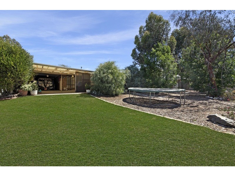 42 Tolley Road, Nuriootpa SA 5355