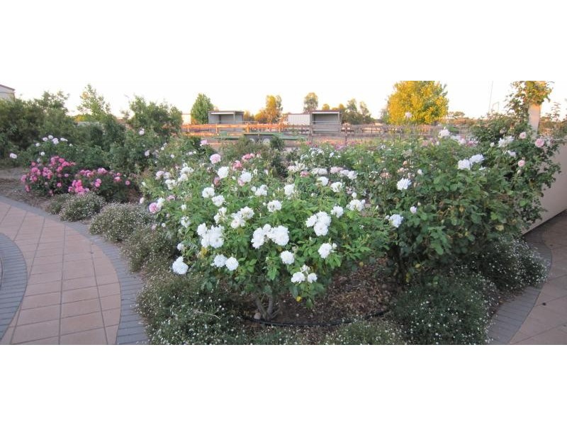 Lot 31 Clancy Road, Gawler Belt SA 5118