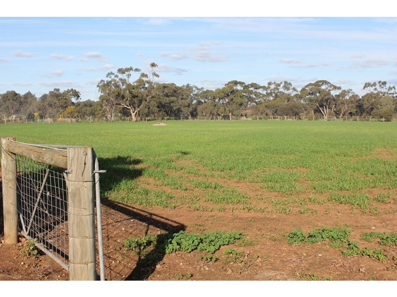 Lot 31 Clancy Road, Gawler Belt SA 5118