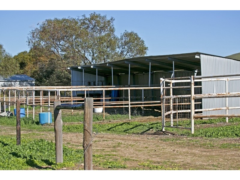 Lot 368 Eudunda Road, Point Pass SA 5374