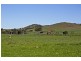 Lot 368 Eudunda Road, Point Pass SA 5374