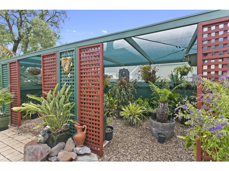 16 Clarke Street, Freeling SA 5372