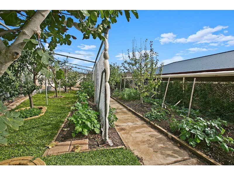 5 Warner Court, Sandy Creek SA 5350