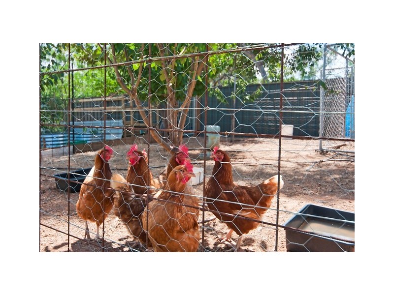 17 Hemaford Grove, Gawler East SA 5118